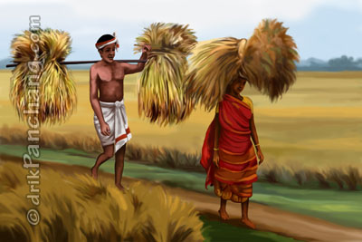 Harvest season in India