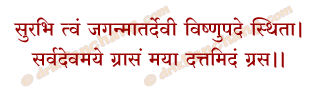Govatsa Dwadashi Nivedan Mantra in Hindi